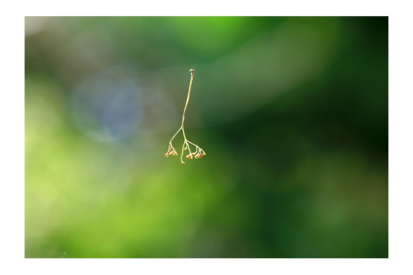 moodshot01