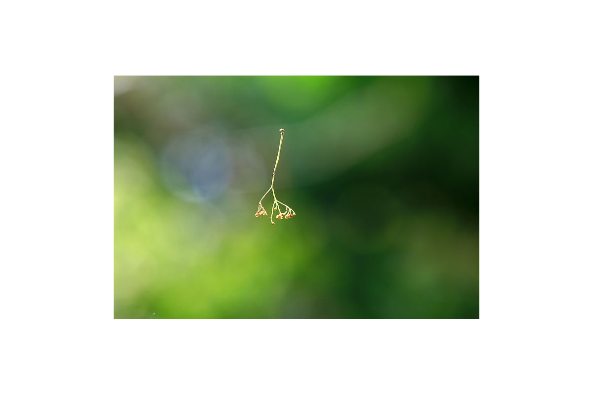 moodshot01